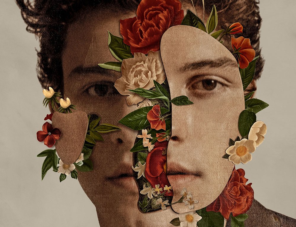 Shawn Mendes Album, All Chord Progressions & Tabs….